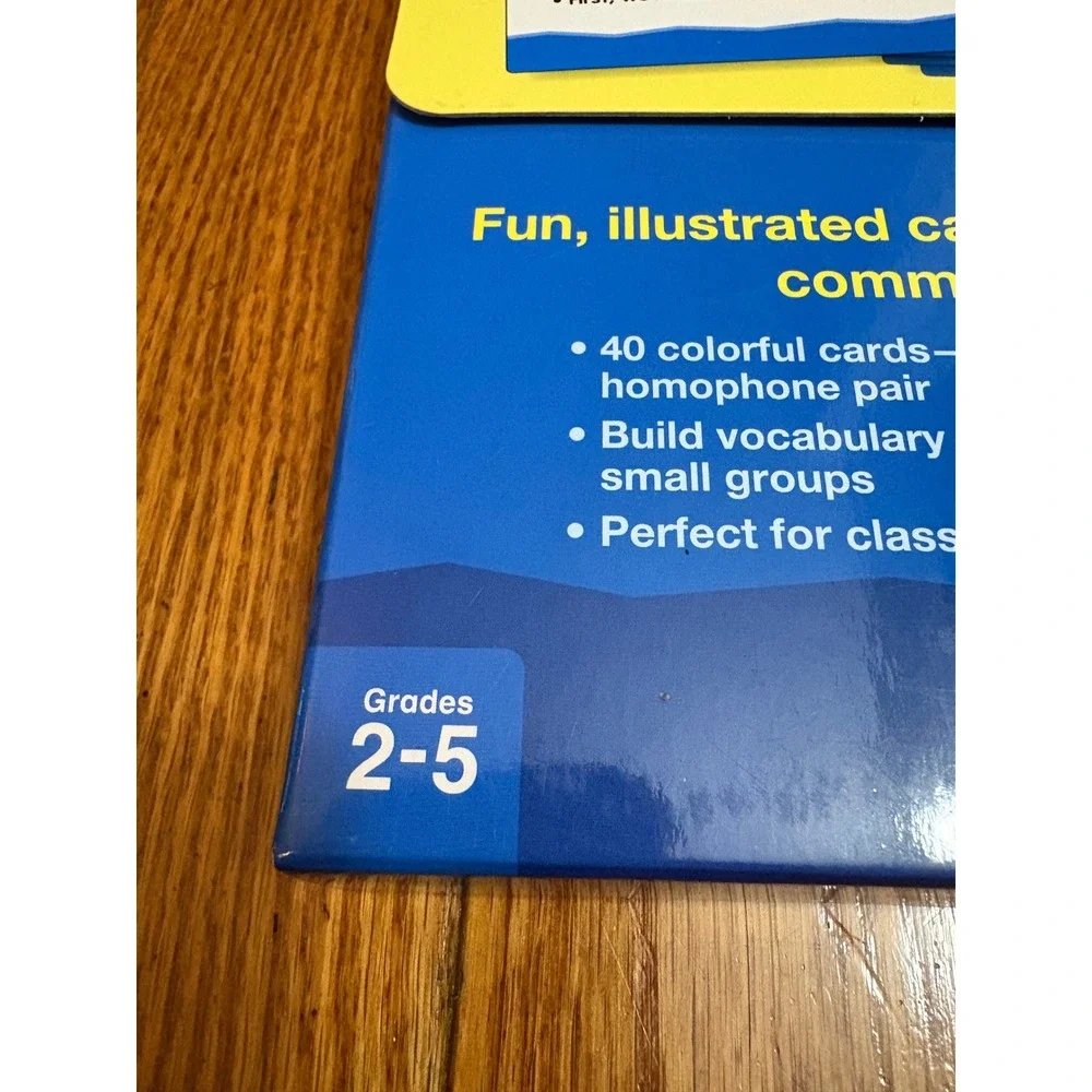 Lakeshore Learning Understanding Homophones Teaching Cards 40ct Grades 2-5 LL397